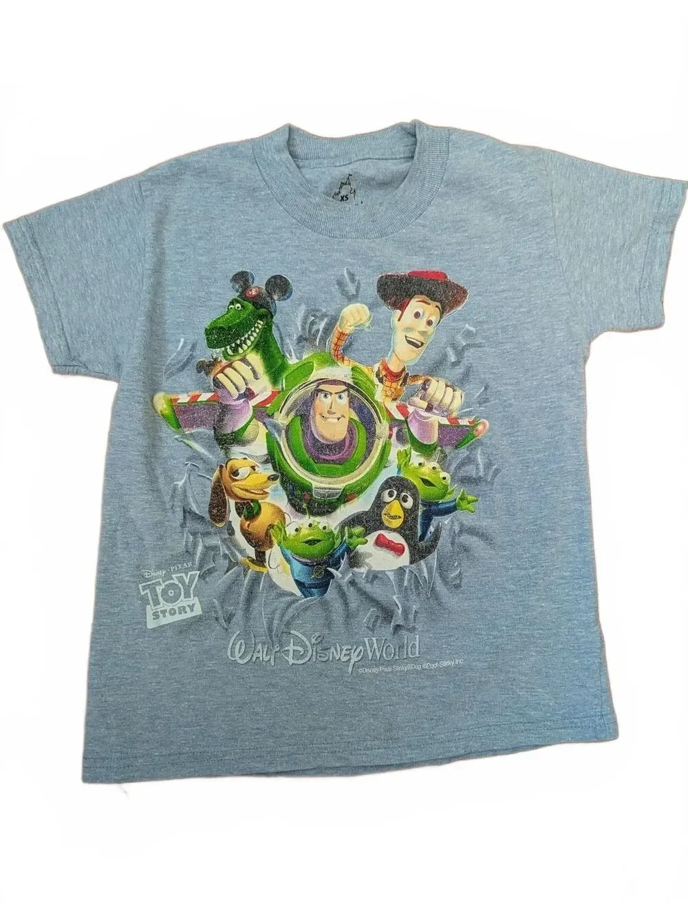Walt Disney World Pixar Toy Story World T-Shirt Kids' XS (5/6) Hanes Cotton